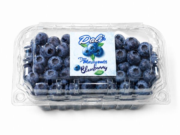 TAZE YABAN MERSİNİ KÜÇÜK BOY 500 g x 8 ADET
